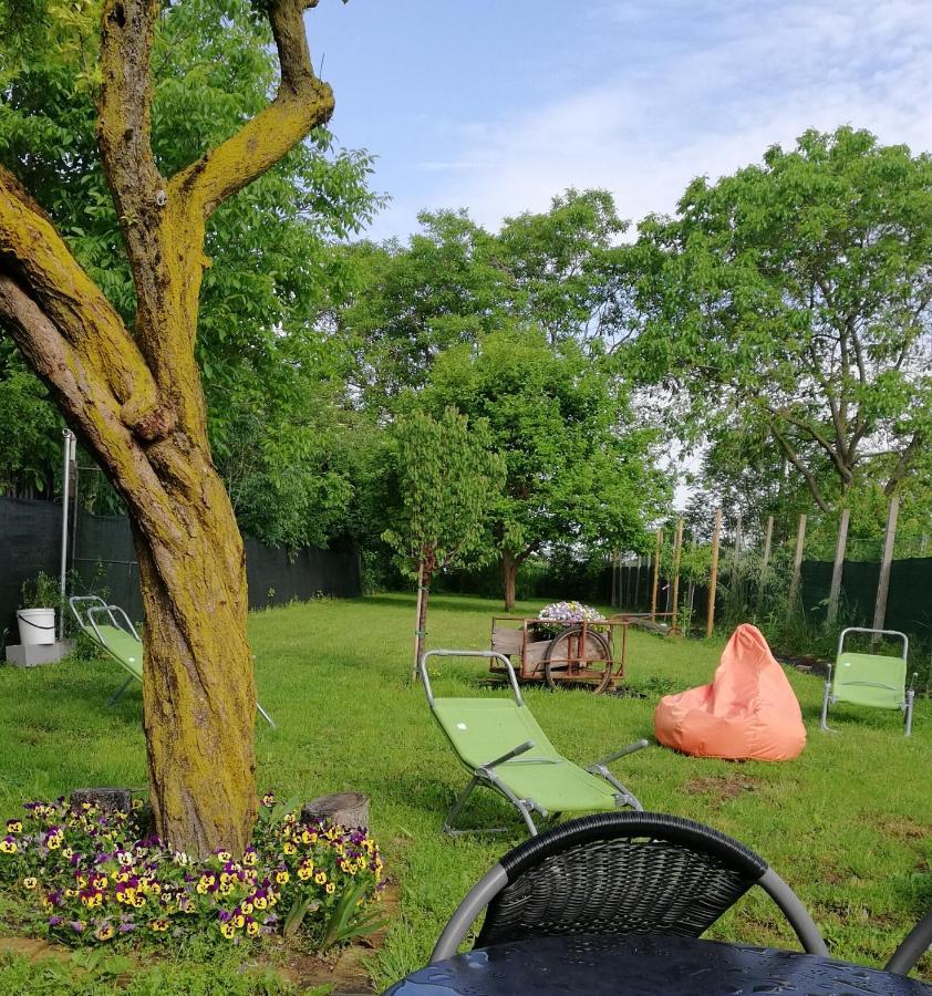 Zucchero Sui Baffi- Food Lovers B&B Mantova Luaran gambar