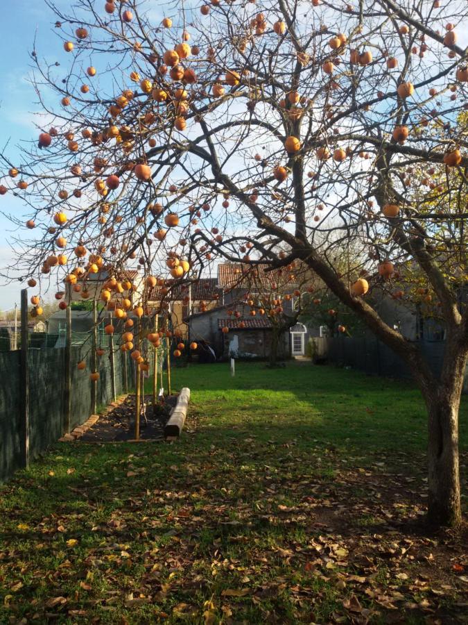 Zucchero Sui Baffi- Food Lovers B&B Mantova Luaran gambar